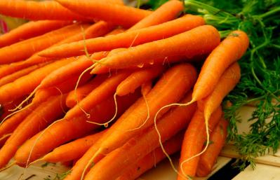 До какого числа можно сеять морковь весной и под зиму Сеять морковь по лунному календарю