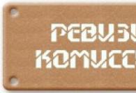 Положение о ревизионной комиссии (ревизоре) тсн Закон о ревизионной комиссии тсн